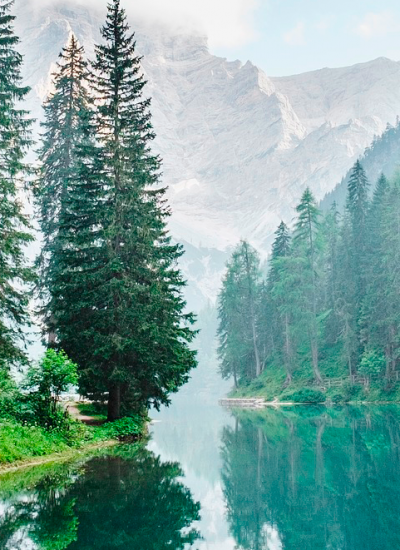 bg-img